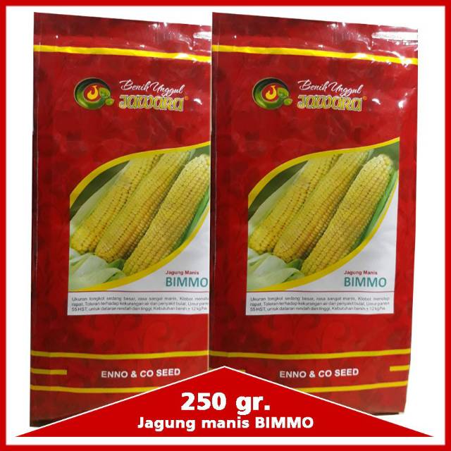Benih jagung manis BIMMO 250 gr - bibit jagung | benih bibit unggul jagung manis