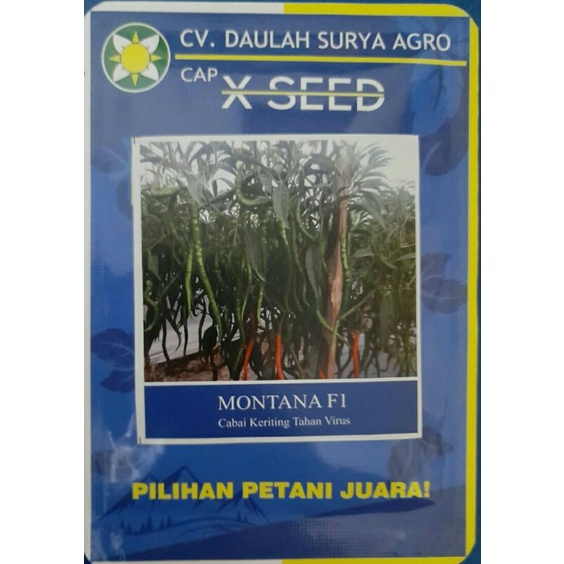 CABAI MERAH KERITING MONTANA F1 TAHAN VIRUS