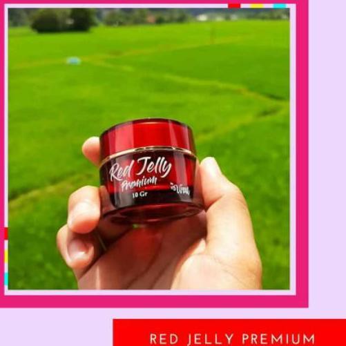 ♝ RED JELLY RK GLOW / RED JELLY PREMIUM RK GLOW / RED JELLY RK / RK GLOW ❋