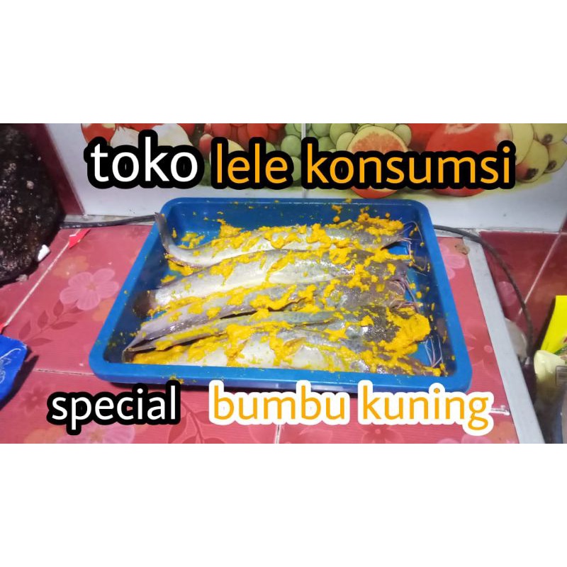 

ikan lele bumbu kuning 1 kg