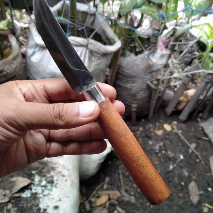 

Pisau Iris Super Tajam Baja Putih Anti Karat 012