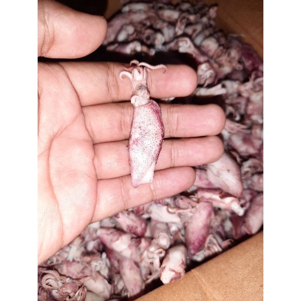 

Baby cumi / Cumi rebus