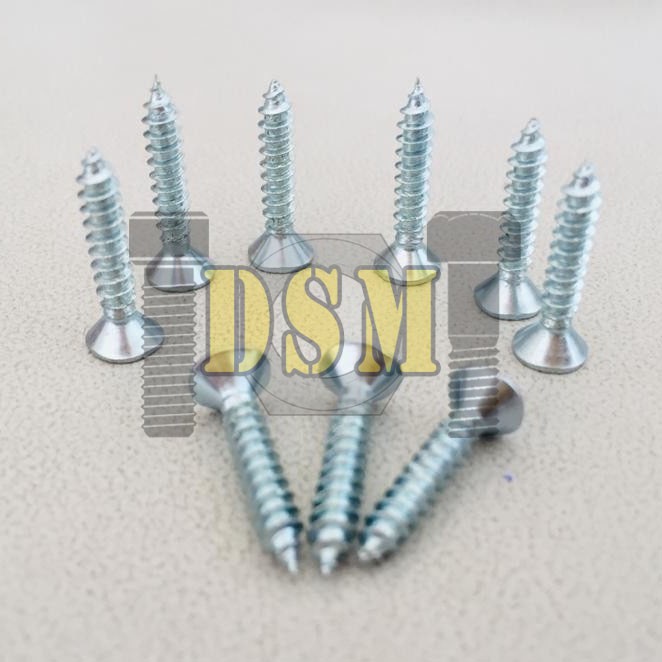 (100 PCS) Sekrup FH #6x3/8&quot; / Self Tapping Screw F+AB (1 CM)