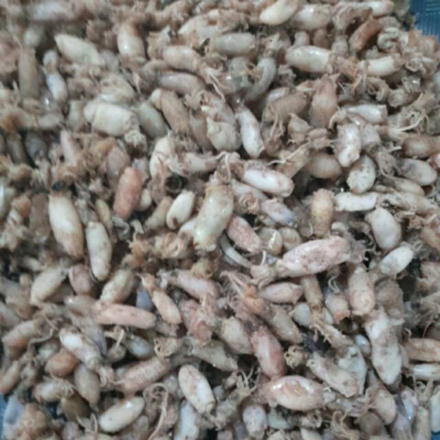 

BABY CUMI KERING FRESH GRADE A GROSIR AMBIL DARI NELAYAN LANGSUNG 1KG