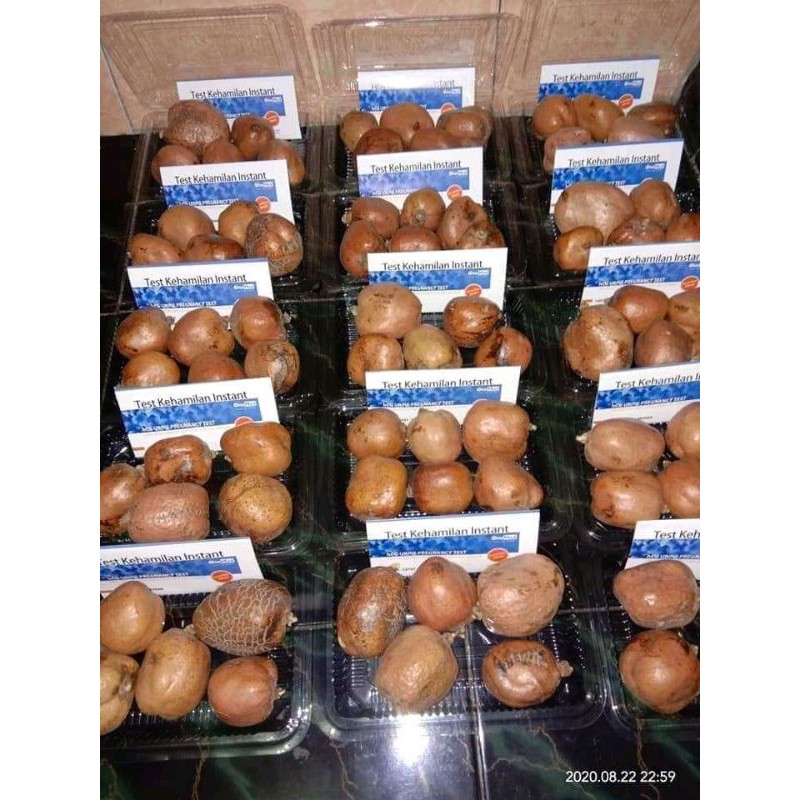 

Buah Zuriyat 1kg free Taspeek
