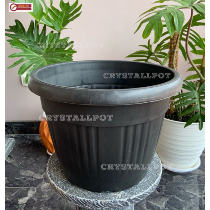 Pot bunga tanaman plastik hitam GRACE 35cm kuping