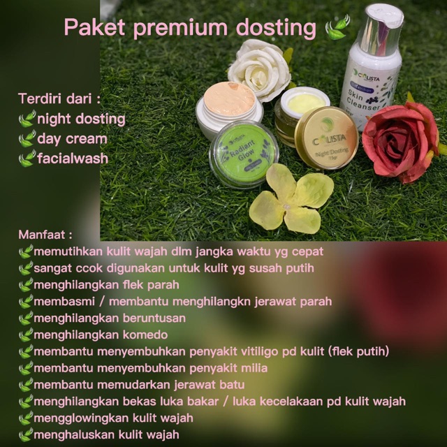 PAKET PREMIUM DOSTING