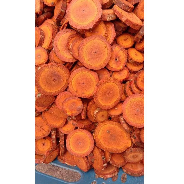 

ssu-21 Akar Kayu Bajakah Tampala Merah Super Siap Seduh Obat Tumor dan Kanker (100% ORIGINAL) Asli Kalimantan ,.,.,.,,