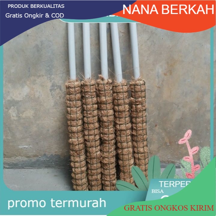 promo turus tanaman rambat 40cm / turus tanaman rambat