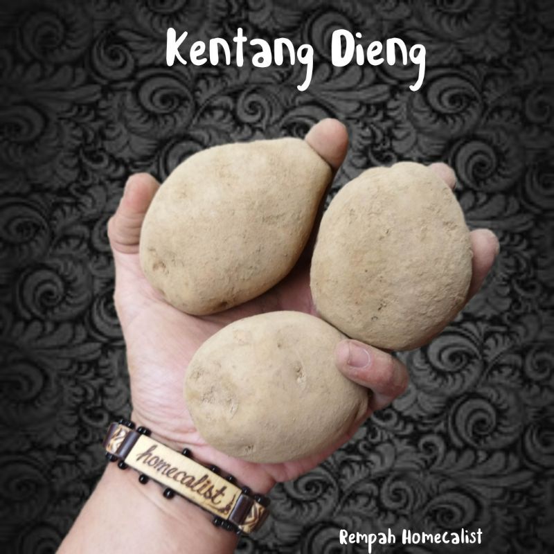 Kentang Segar 1kg Kentang Dieng