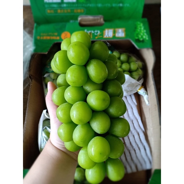 

Shine muscat grapes