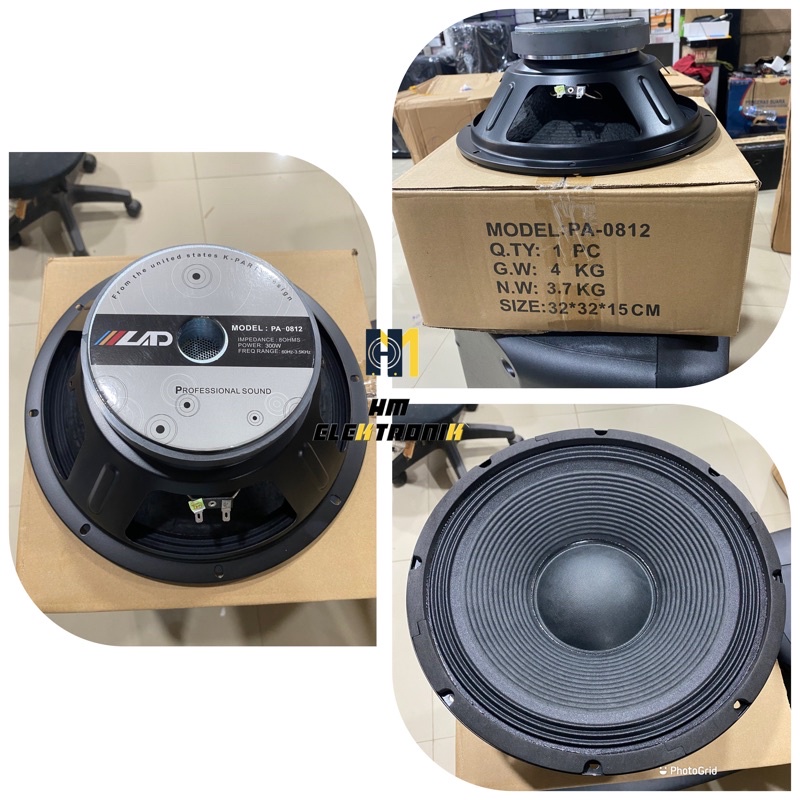 Speaker LAD PA - 0812 12 inch lad