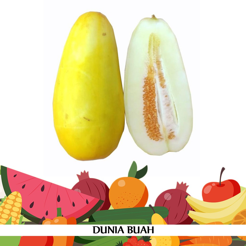 

Buah Timun Suri Segar Langsung Dari Petani by Dunia Buah