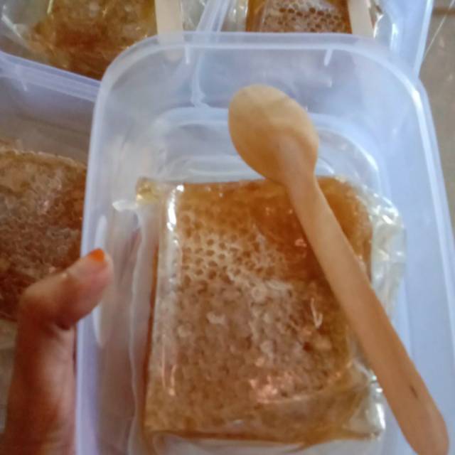 

SARANG MADU ASLI [HONEY COMB] 250 gr