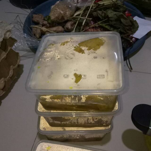 

Ayam segar bumbu ungkep enak murah