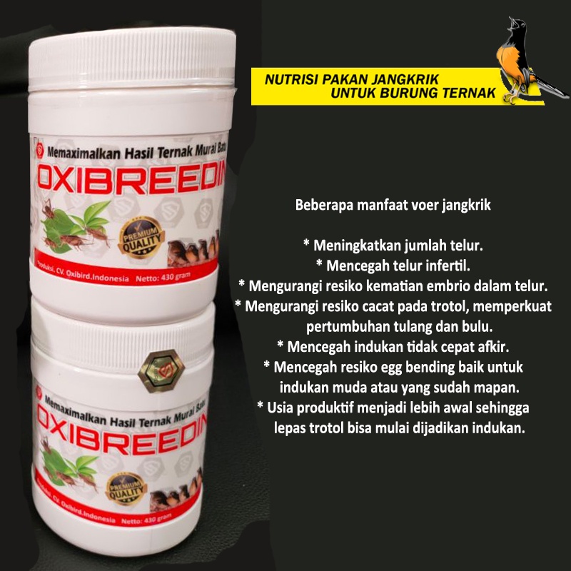 OXIBREEDING VOER JANGKRIK PAKAN JANGKRIK OXI BREEDING PAKAN TERNAK MURAI BATU-3