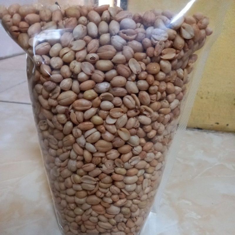 

Kacangbawangkiloan