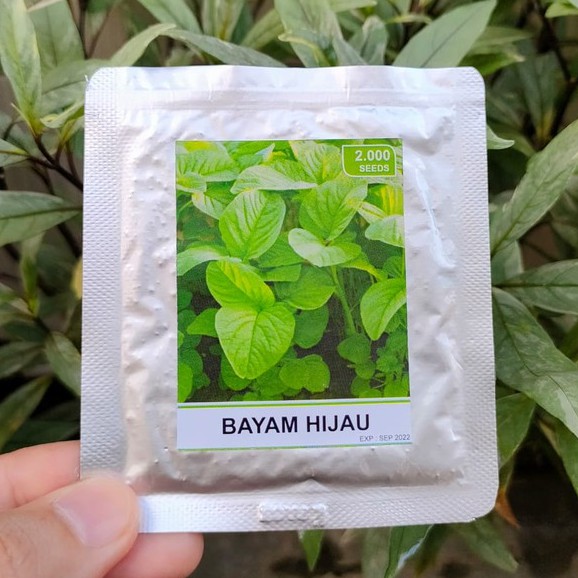 benih sayur - benih buah - benih sayuran - benih tomat - benih cabe - benih selada - benih bayam - benih terong - benih pakchoy -RS-bayam hijau