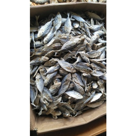 

ikan teri nasi