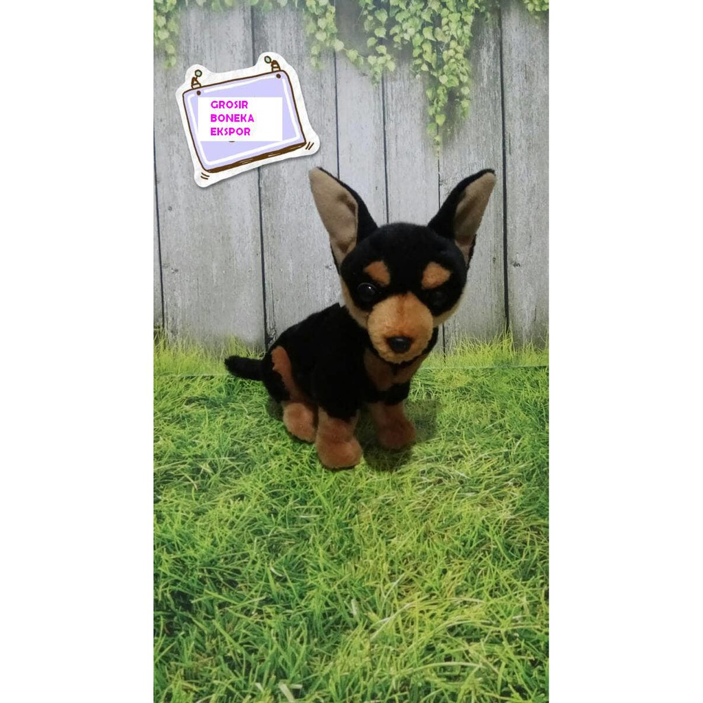 Boneka Anjing Mini Pinscher Shopee Indonesia