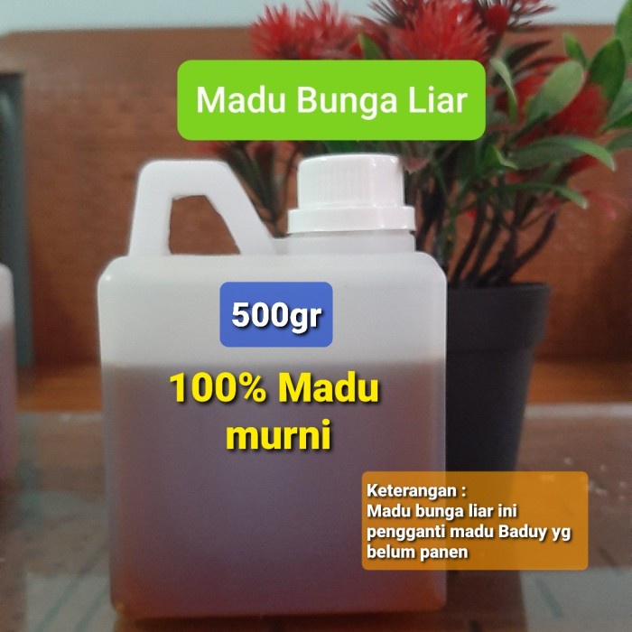 

madu- madu hutan baduy 100 asli dan murni (manis madu) -madu.