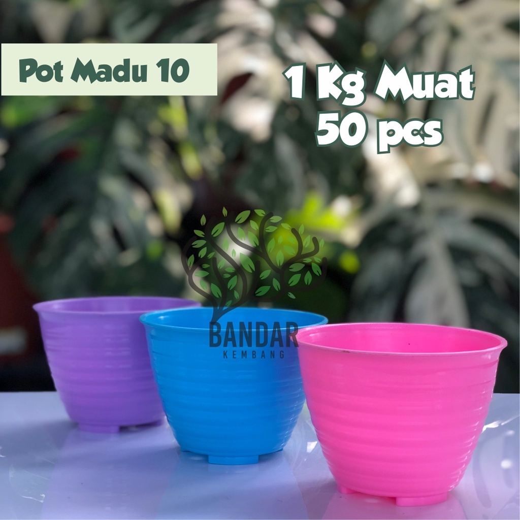 Pot Madu 10 Warna Warni Pot Plastik Tebal Cantik Mirip Pot Tawon Pot Kecil Murah Planter Murah