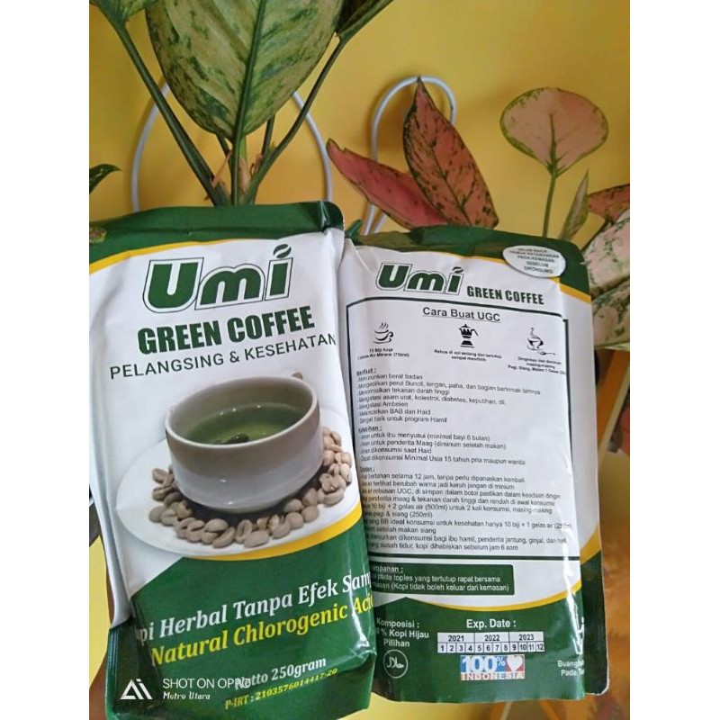 UMI GREEN COFFEE KOPI DIET PELANGSING ALAMI TANPA EFEK SAMPING UGC MENGOBATI HIPERTENSI