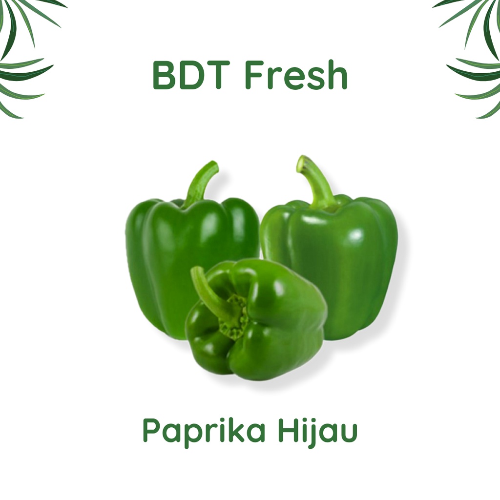 

Paprika Hijau 500g