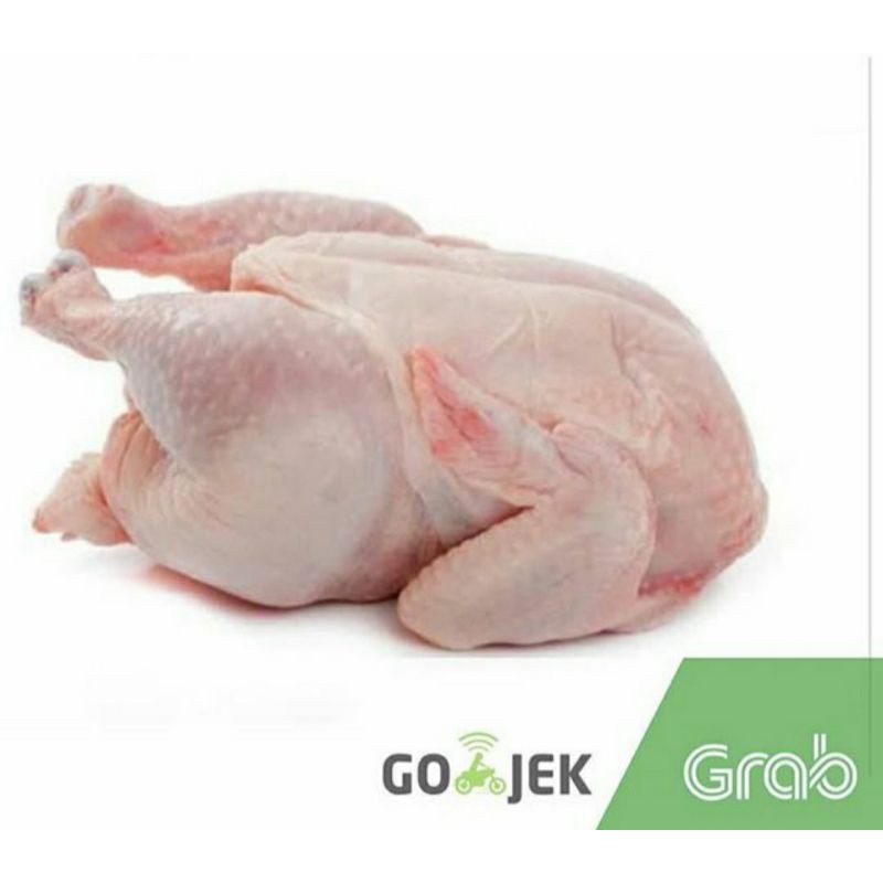 

AYAM POTONG SEGAR / AYAM KARKAS BROILER NEGERI UK 1 - 1,3 KG