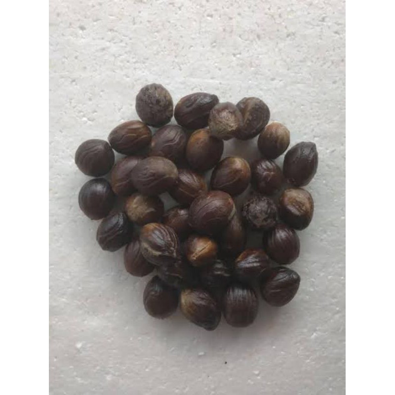 

BIJI PALA/ BIJI BUAH PALA/ NUTMEG/ BIJI PALA UTUH GRADE A 100 GRAM