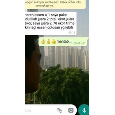 Ω ESSEN A1 ESSEN OPLOSAN IKAN RAME BABON ➩