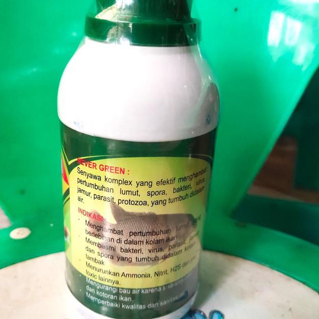 Best Product Peai Lumut Kolam NEVER GREEN Anti Lumut Kolam Ikan LCL ☺