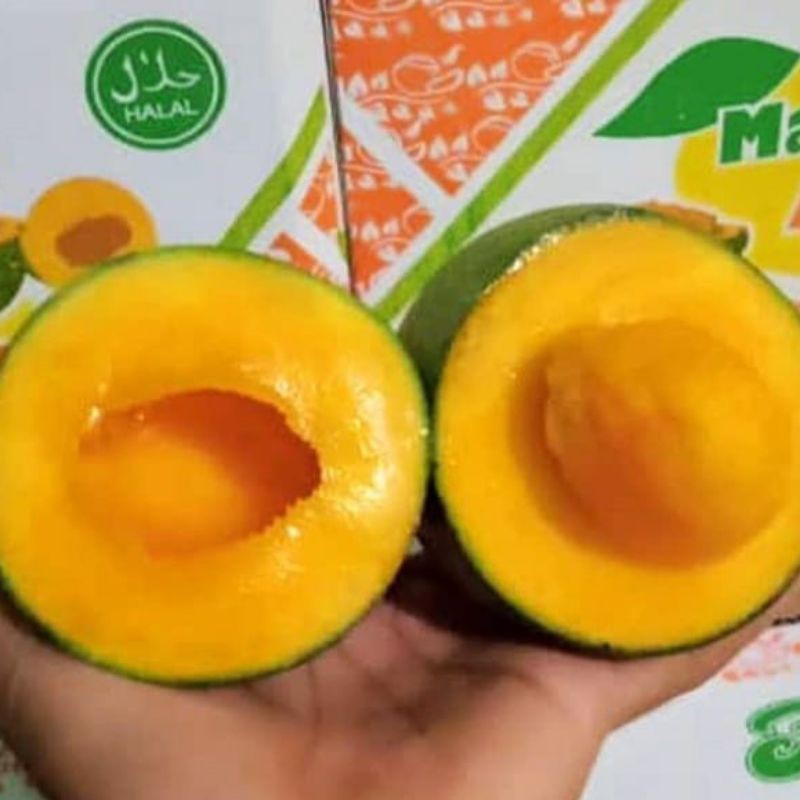 

buah mangga alpukat manis dan segar