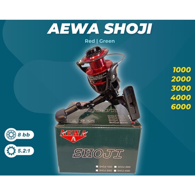 REEL SPINNING AEWA SHOJI