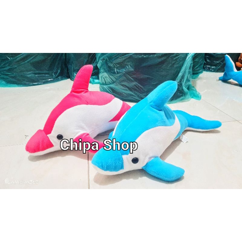 bonaka ikan dolphin sedang