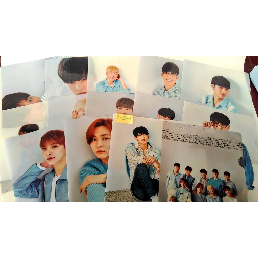 Carat 2nd Gen - File Holder (All Seventeen Member + OT13)