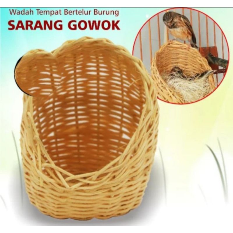 Sarang rotan burung blackthroat - sarang gowok