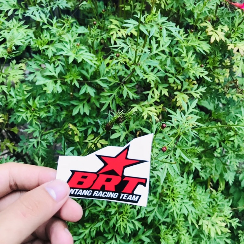 STICKER BINTANG RACING TEAM ANTI AIR LAMINASI GLOSY