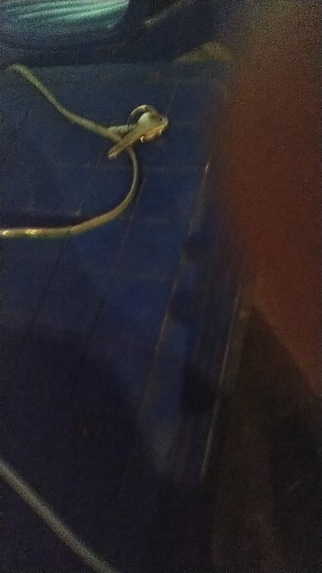 Couple Keluarga Sarimbit Batik Terbaru Terlengkap Nogo Gedhe Saroja Batik Katun Adem Nyaman Murah