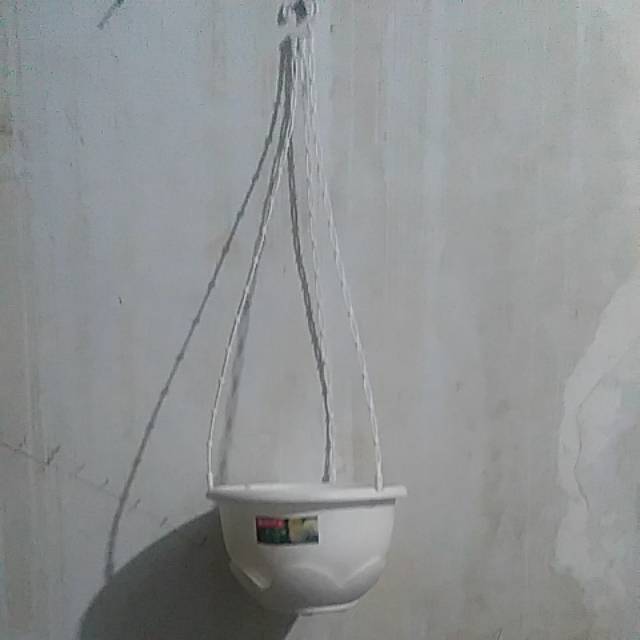 Pot gantung lion star clover 06 putih