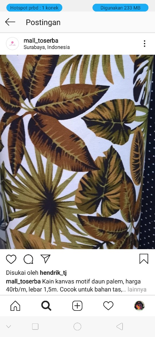 Kanvas Monstera Palm