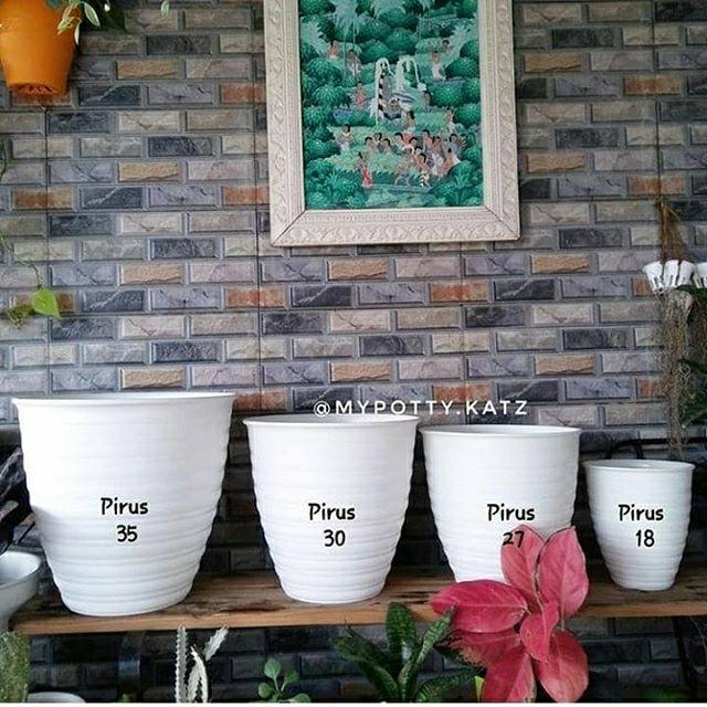 Pot Tawon Pirus 18