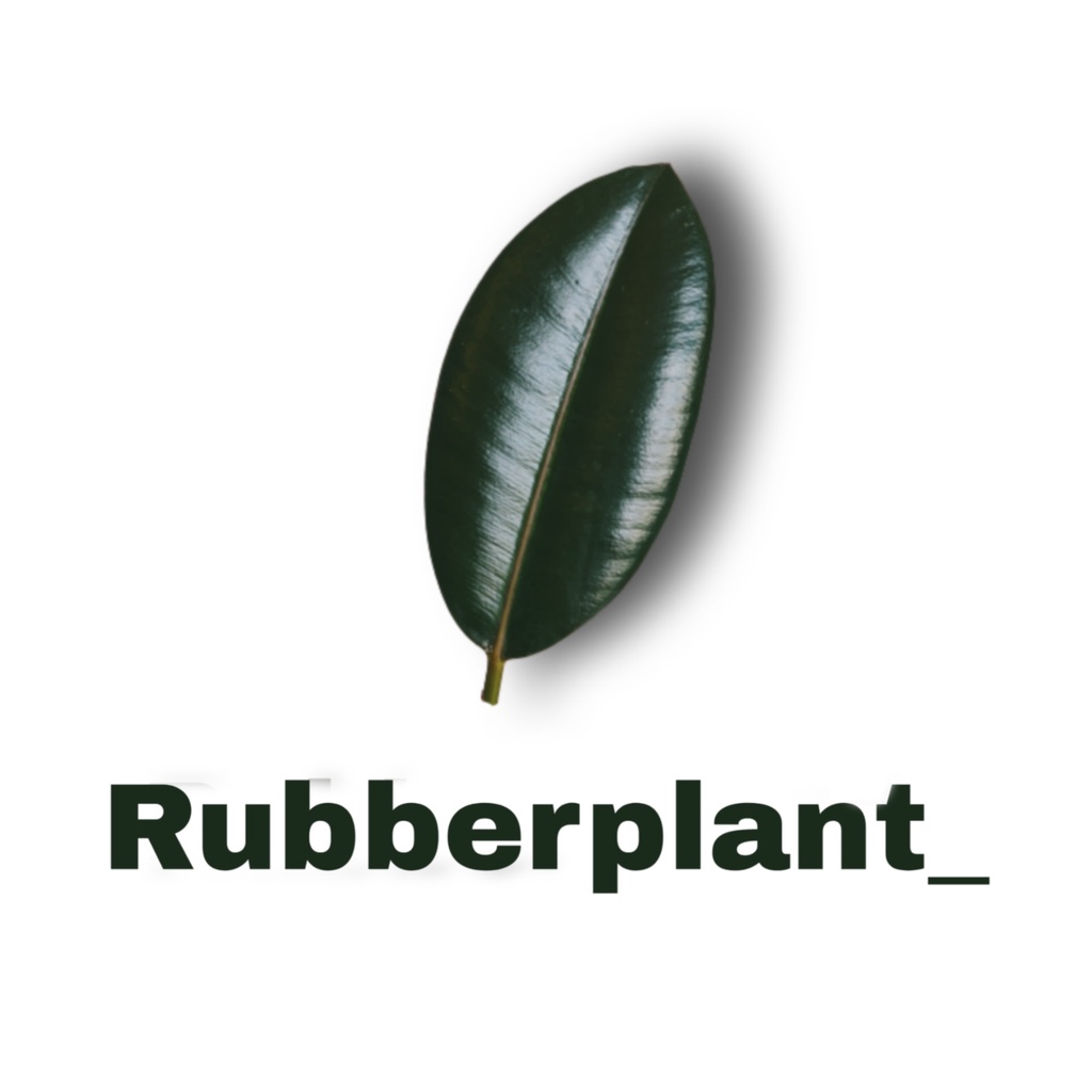 rubberplant_