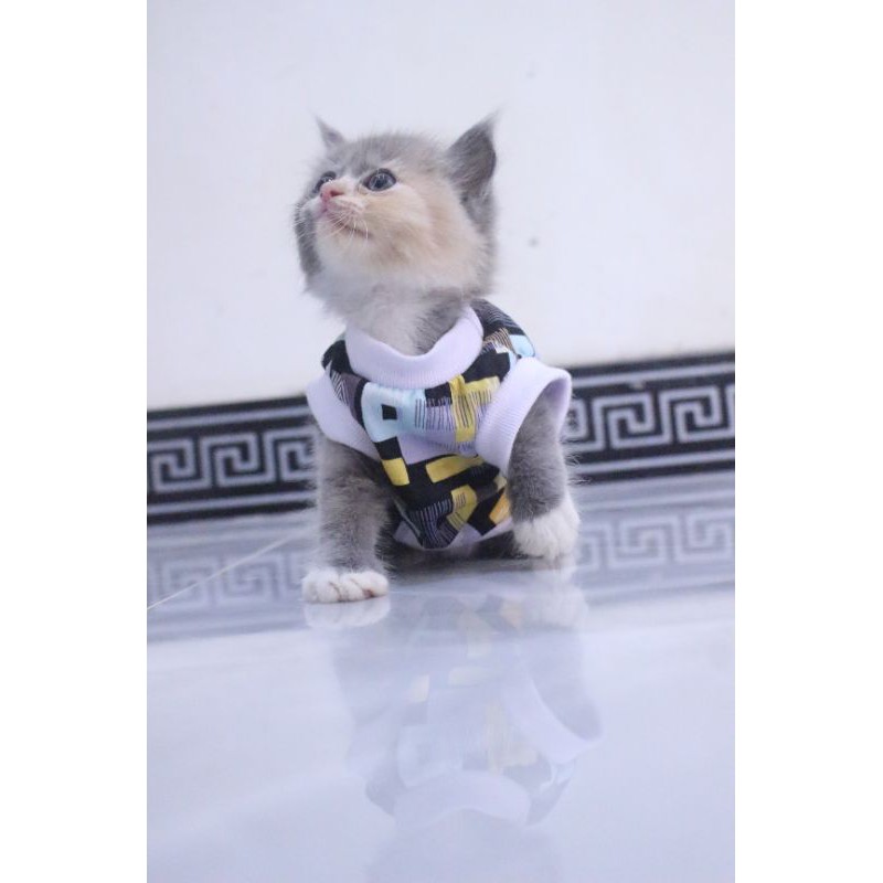 Kaos rumahan motif kotak-kotak #0182 lucu untuk kucing dan anjing / baju kucing murah size S-XL