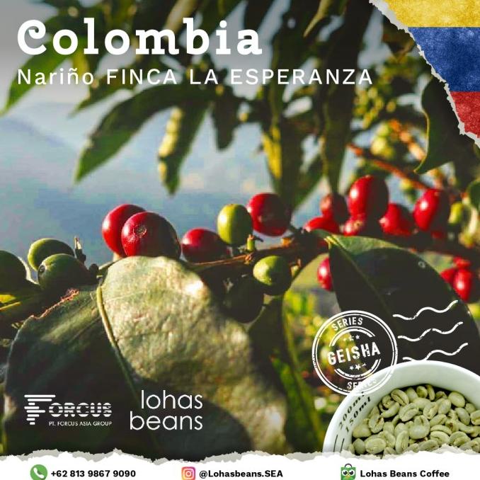 

Biji Kopi Arabica Colombia, Narino - LA ESPERANZA (Geisha) (200 Gr)