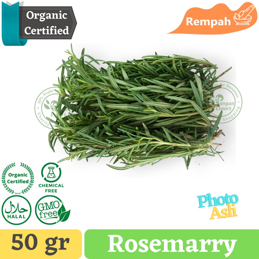 

Rosemarry Organic Herb | Rempah Organik Daun Rosemarry
