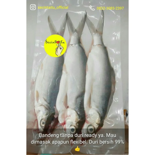 

Bandeng Tanpa Duri 3 pcs
