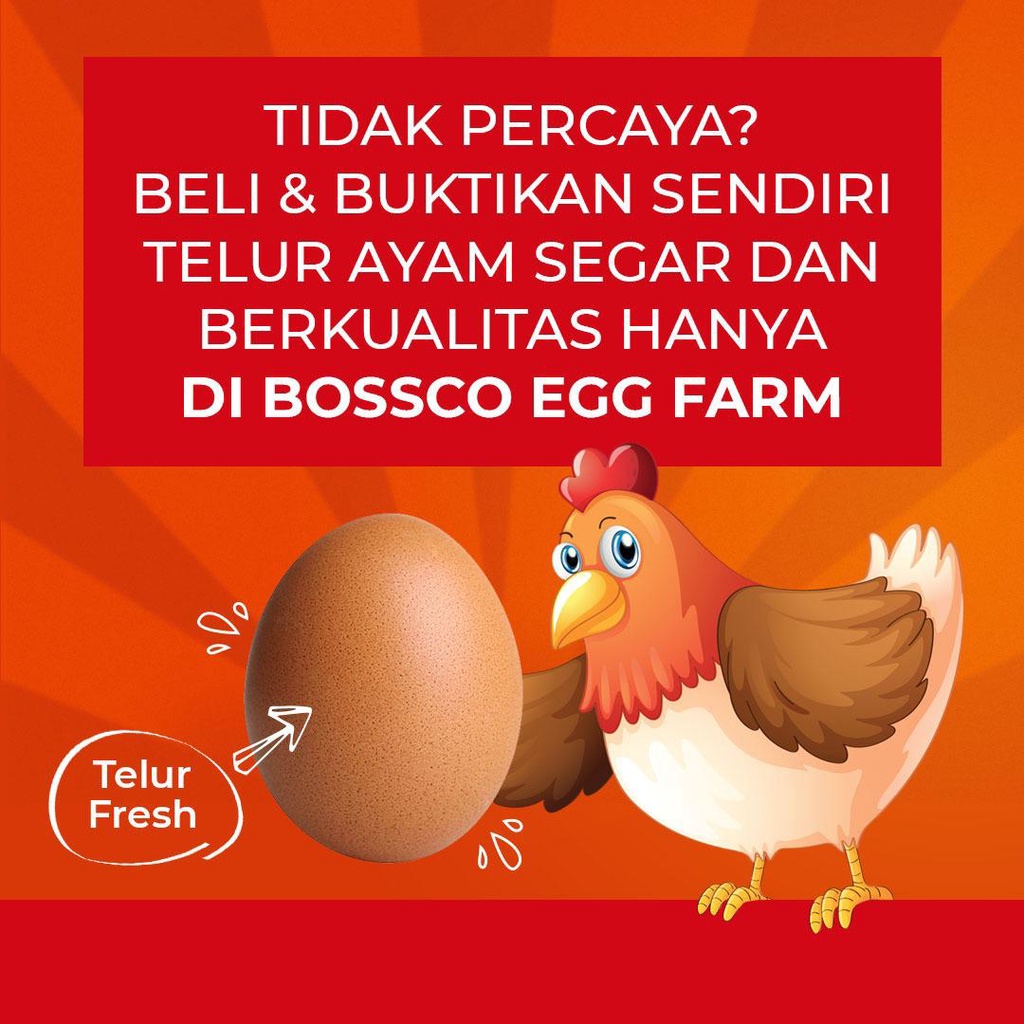 Telur Ayam Negeri FRESH/ telor ayam negri per 1 tray telur ayam premium telor ayam premium telur segar telur ayam segar telur organik telur bebas bakteri telor ayam segar telor organik telor ayam segar telur omega telor omega