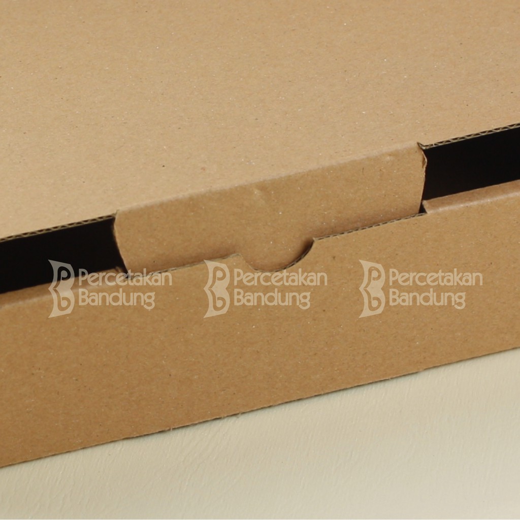 KARDUS CORRUGATED 20X20X5 CM | DIE CUT | KOTAK KARTON | BOX PACKING SOUVENIR PIZZA-2