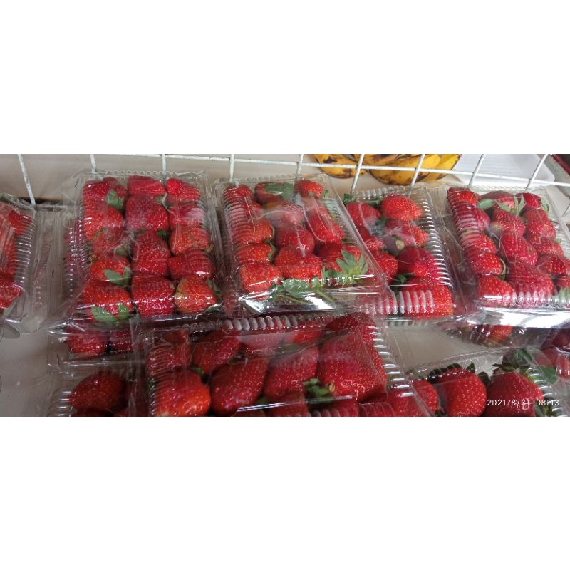 

TERLARIS promo stroberi murah